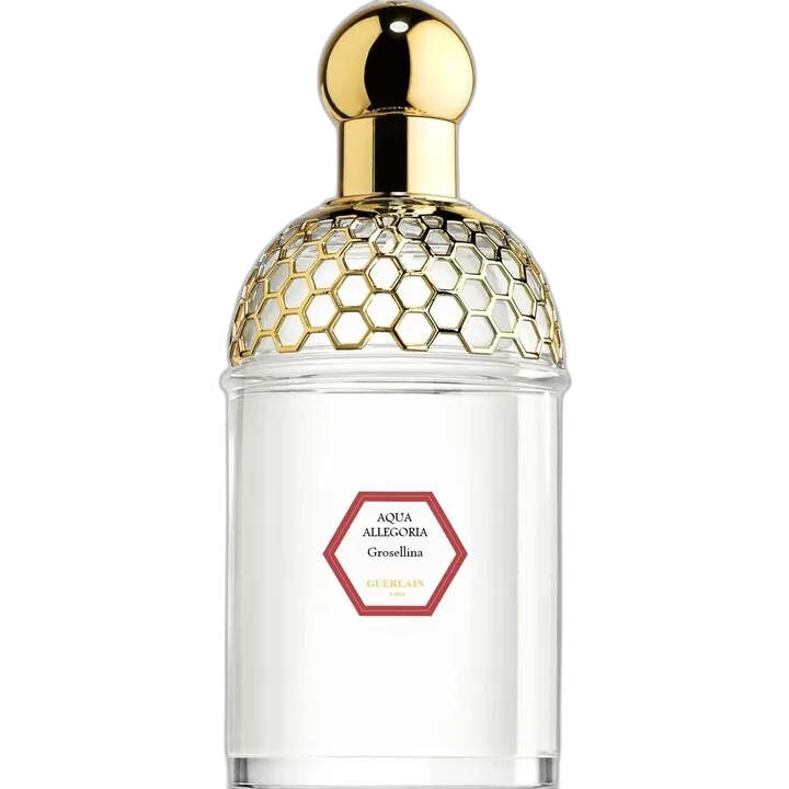 Aqua Allegoria Grosellina