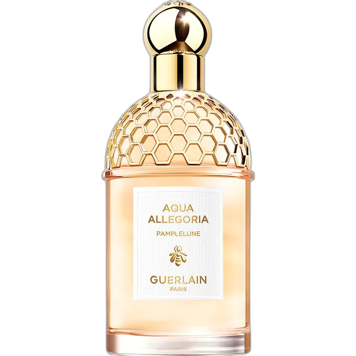 Aqua Allegoria Pamplelune