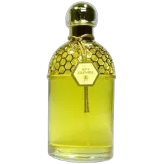 Aqua Allegoria Ylang & Vanille