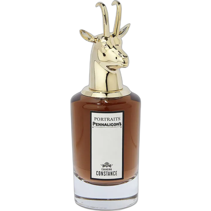 Portraits - Changing Constance