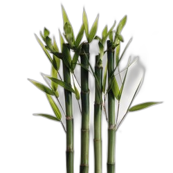 Image of Bamboo note