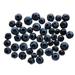 Blueberry