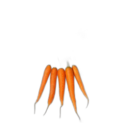 Carrot