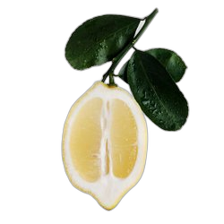 Citrus Notes