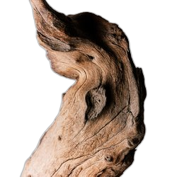 Driftwood