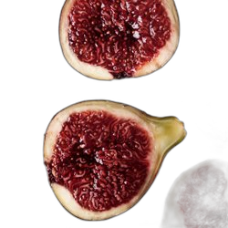 Fig