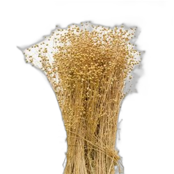 Image of Flax note