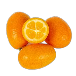Image of Kumquat note