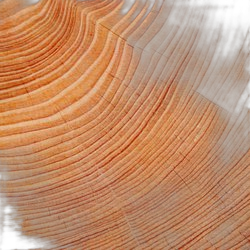 Image of Mahogany note