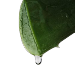 Soap