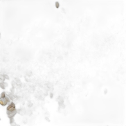 Image of Sesame note