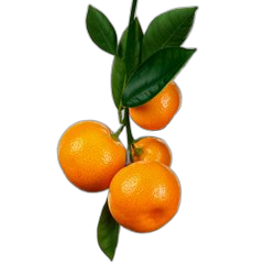 Image of Tangerine note