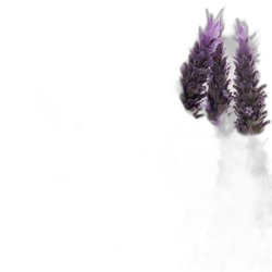 Image of Physcool® note